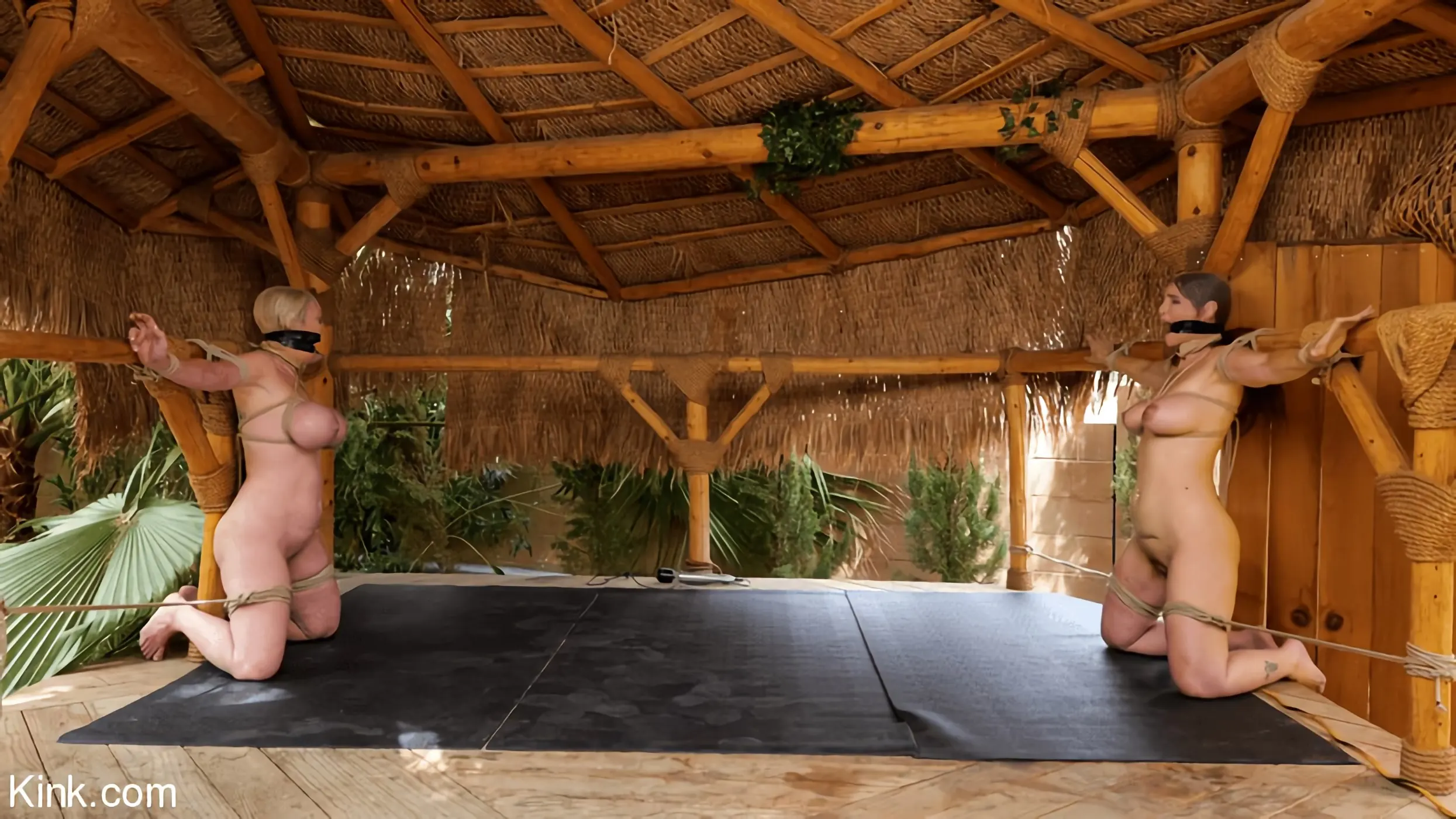 Kink 'The Last Resort: Dee Williams and Syren de Mer' starring Dee Williams (Photo 17)