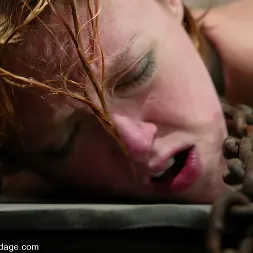 Dee Williams in 'Kink' Wolf Lotus and Darling (Thumbnail 12)