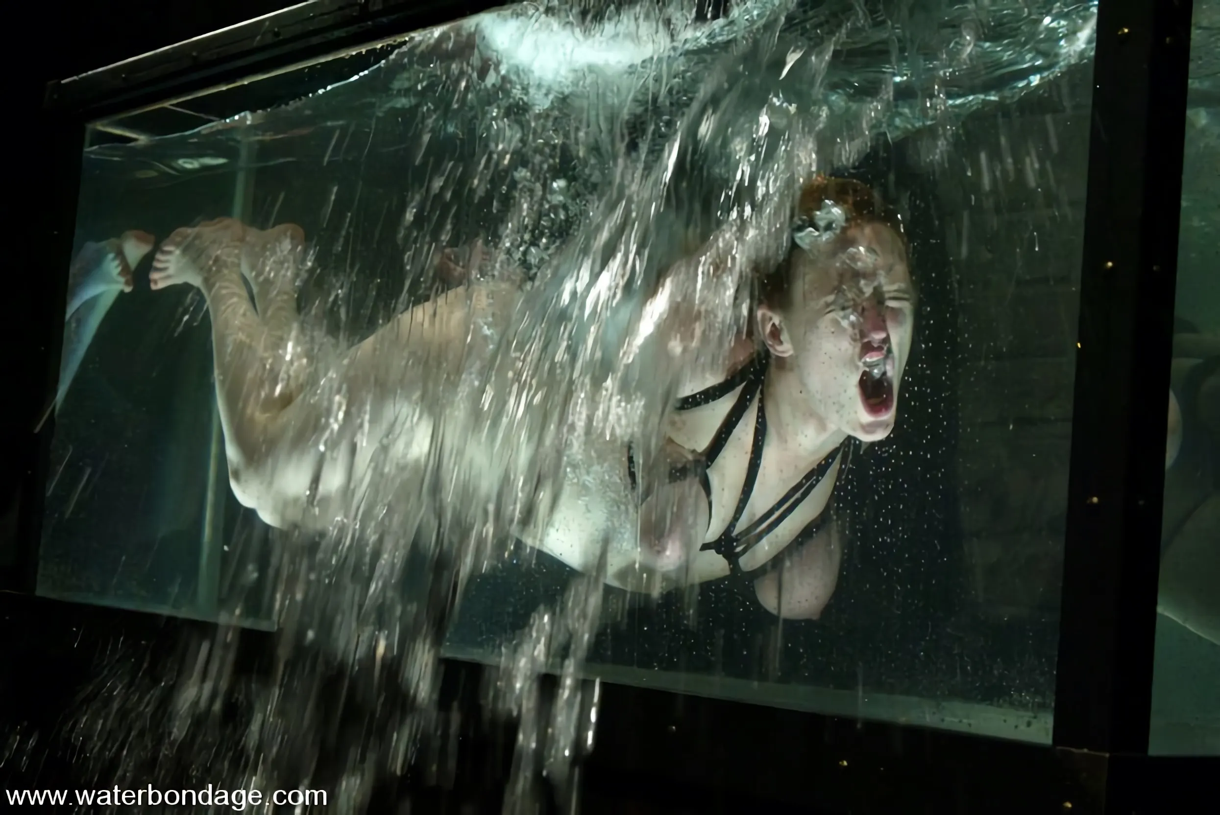 Kink 'Wolf Lotus and Darling' starring Dee Williams (Photo 14)