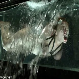 Dee Williams in 'Kink' Wolf Lotus and Darling (Thumbnail 14)