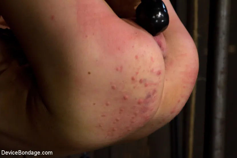 Kink 'リンガーを通して乾燥させた' 主演 Delilah Knight (写真 6)