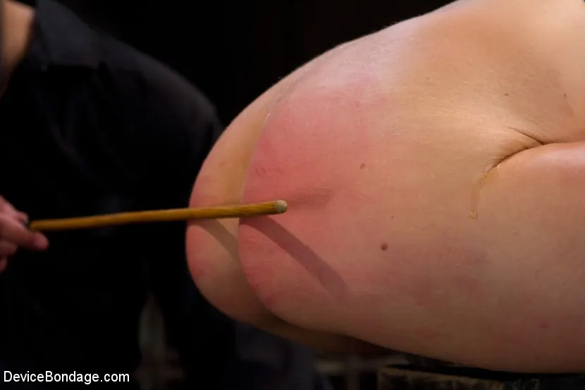 Kink 'リンガーを通して乾燥させた' 主演 Delilah Knight (写真 10)