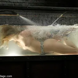 デリラストロング に デリラストロング (写真 3) デリラストロング に 'Kink' デリラストロング (サムネイル 3)