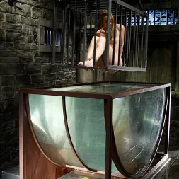 デリラストロング に デリラストロング (写真 5) デリラストロング に 'Kink' デリラストロング (サムネイル 5)