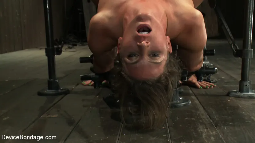 Kink 'Puzzle Perfect - Face fucking, Ass Hook Tugging, Hard Flogging Mayhem' starring Dia Zerva (Photo 13)