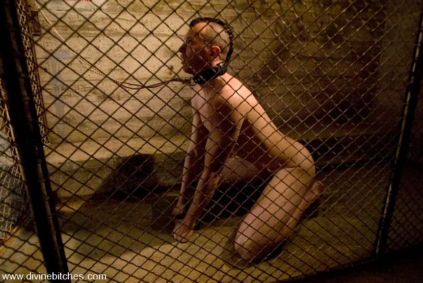 Kink 'Training of a Hellhound Episode: 2' starring Dia Zerva (Photo 12)