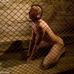 Dia Zerva に 'Kink' ヘルハウンドの訓練エピソード：2 (サムネイル 12)