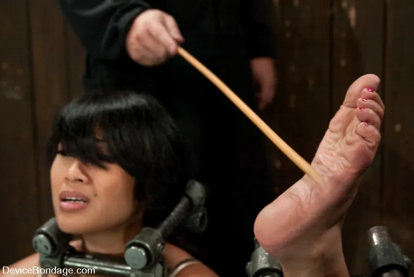 DragonLily に 'Hard foot caning, harder orgasms.' from 'Kink' (写真 6) Kink 'Hard foot caning, harder orgasms.' 主演 DragonLily (写真 6)