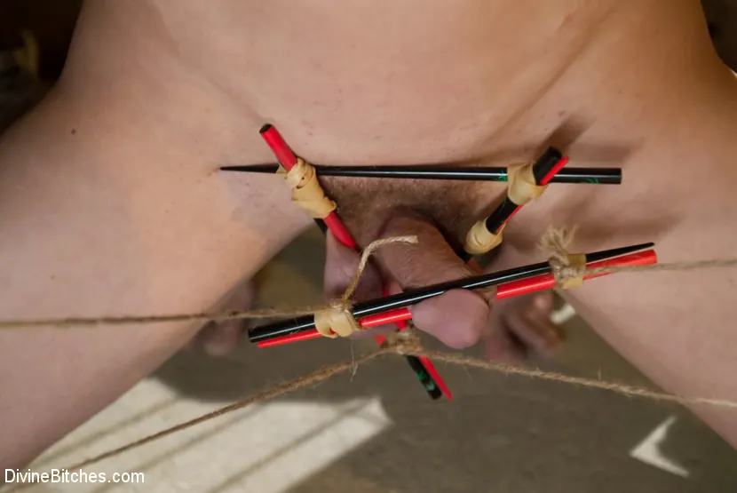 Kink 'Episode: 3 Worthless Cock' starring DragonLily (Photo 1)