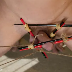 DragonLily in 'Kink' Episode: 3 Worthless Cock (Thumbnail 1)