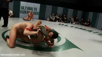 DragonLily in 'Injuries are part of the sport, and the sport is brutal, Non-scripted wrestling can be brutal..'