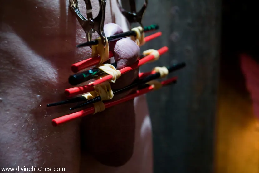 Kink 'Entrenamiento de un criado: Episodio 3 El títere gallo' protagonizando DragonLily (foto 8)