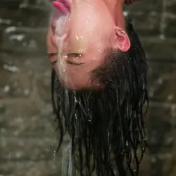 DragonLily in 'Kink' and Mark Davis (Thumbnail 4)