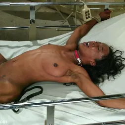 DragonLily in 'Kink' and Stacey Cash (Thumbnail 11)