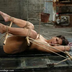 DragonLily in 'Kink' DragonLily (Thumbnail 5)