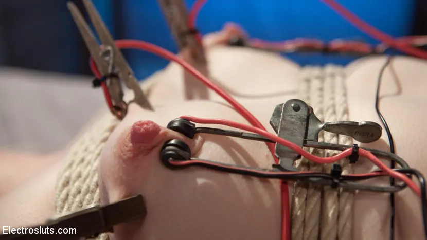 Kink 'Electroslut Next Door' 主演 Dresden (写真 13)