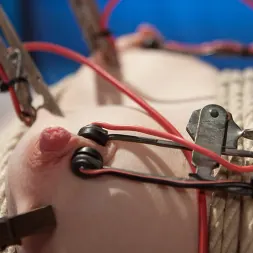 Dresden に 'Kink' Electroslut Next Door (サムネイル 13)