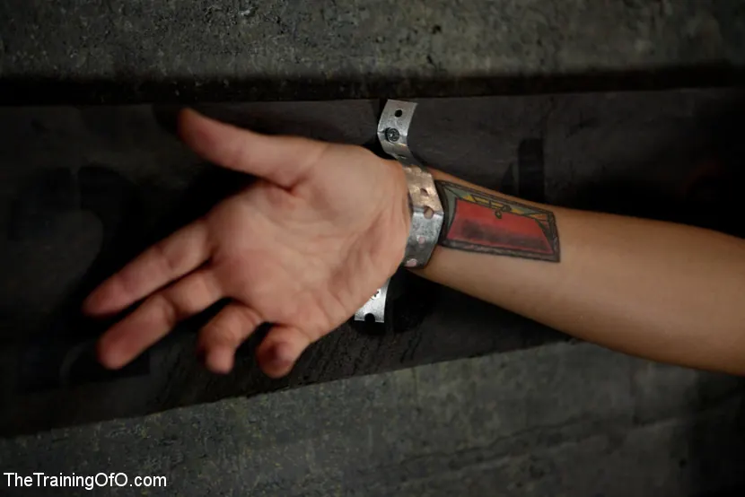 Dylan Ryan en 'Day 3 Facing Fears with Extreme Binds and Pussy Stretching' from 'Kink' (foto 5) Kink 'Day 3 Facing Fears with Extreme Binds and Pussy Stretching' protagonizando Dylan Ryan (foto 5)