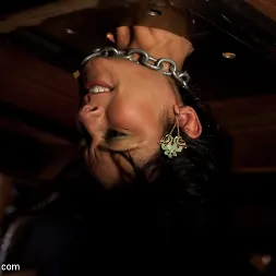 Dylan Ryan in 'Kink' Stefanos' Brunch (Thumbnail 4)