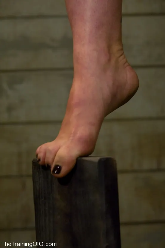 Kink 'The Training of Dylan, Day Three' starring Dylan Ryan (Photo 17)