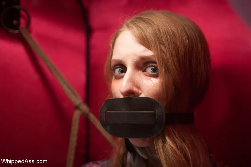 Ela Darling に 'Haight Street Whore' from 'Kink' (写真 10) Kink 'Haight Street Whore' 主演 Ela Darling (写真 10)