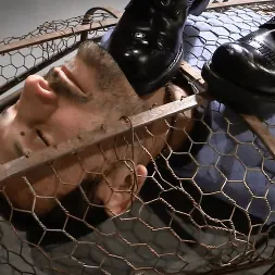 Elise Graves en 'Kink' Una jaula dorada (Miniatura 3)