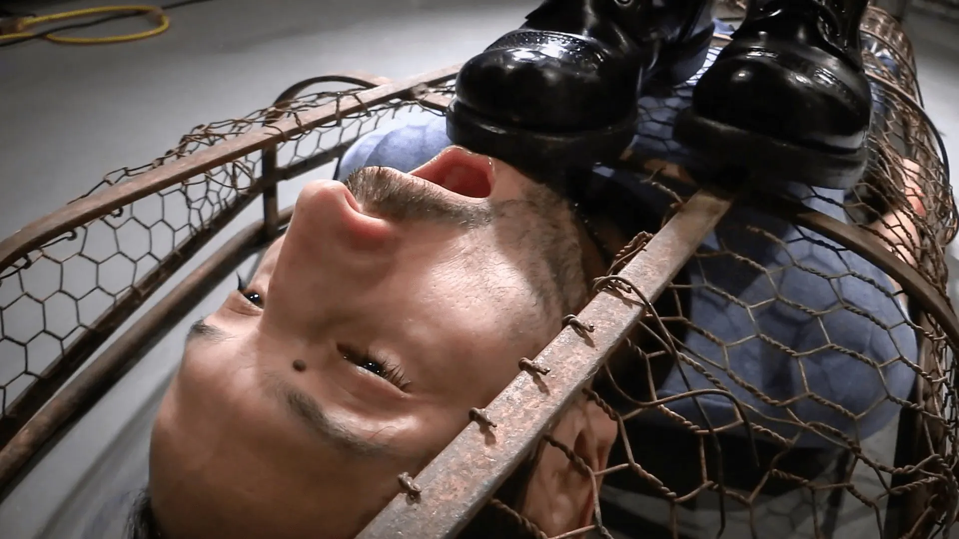 Kink 'Una jaula dorada' protagonizando Elise Graves (foto 4)