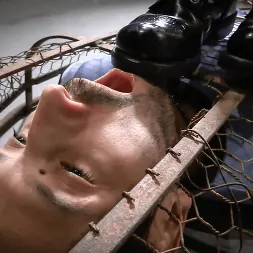 Elise Graves en 'Kink' Una jaula dorada (Miniatura 4)