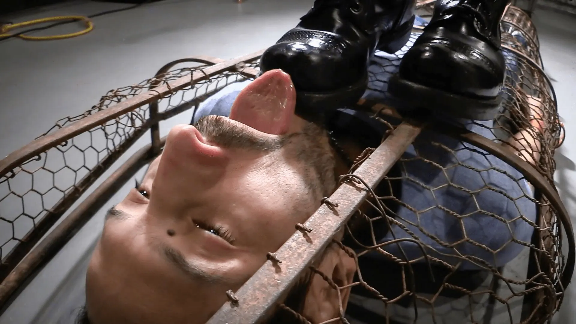 Kink 'Una jaula dorada' protagonizando Elise Graves (foto 5)