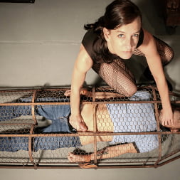 Elise Graves in 'Kink' A Gilded Cage (Thumbnail 14)