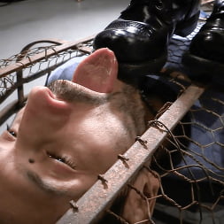 Elise Graves に 'Kink' 金箔を貼った檻 (サムネイル 5)