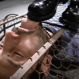 Elise Graves に 'Kink' 金箔を貼った檻 (サムネイル 6)