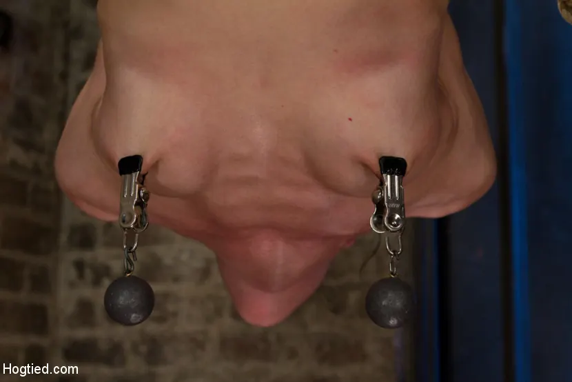 Kink 'Invertida, codos atados, espalda severamente arqueada ¡Brutal cuerda en la entrepierna, orgasmos masivos y aulladores! ¡ÉPICO!' protagonizando Elise Graves (foto 13)