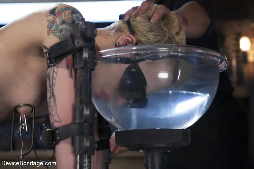 Elizabeth Thorn に '災害のためのレシピ' from 'Kink' (写真 5) Kink '災害のためのレシピ' 主演 Elizabeth Thorn (写真 5)