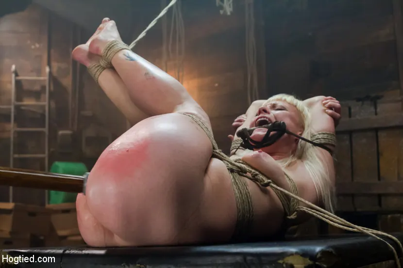 Elyssa Greene in 'Twisted Tale of a Captive Creamer' from 'Kink' (Photo 6) Kink 'Twisted Tale of a Captive Creamer' starring Elyssa Greene (Photo 6)