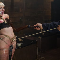 Elyssa Greene に 'Kink' キャプティブクリーマーのツイストテイル (サムネイル 2)