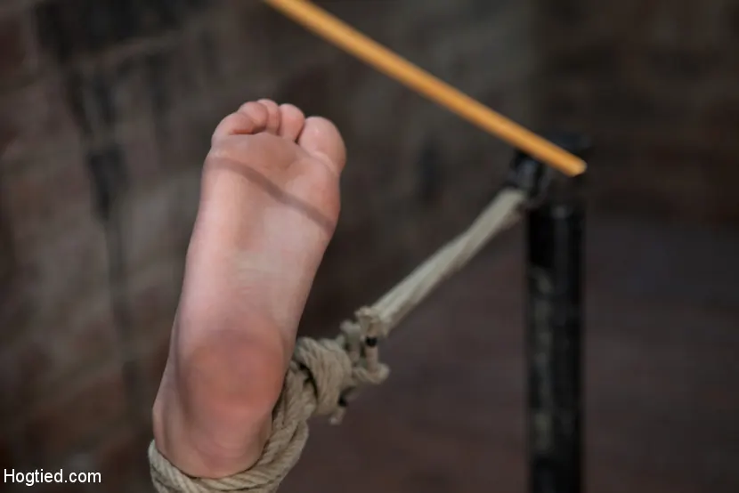 Kink 'is helpless we clamp her sensitive nipples Flog her swollen pussy, make her squirt!' protagonizando Emma Haize (foto 12)