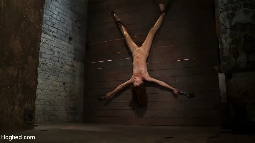 Kink 'Inverted and spread on the wall, the nubile unit cums over and over while we make it suck cock!' starring Emma Haize (Photo 8)