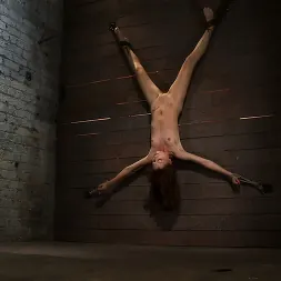 Emma Haize in 'Kink' Inverted and spread on the wall, the nubile unit cums over and over while we make it suck cock! (Thumbnail 8)