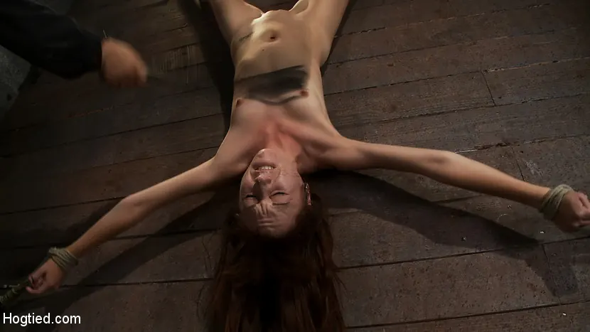 Emma Haize en 'Invertida y extendida sobre la pared, ¡la unidad núbil se corre una y otra vez mientras la hacemos chupar la polla!' from 'Kink' (foto 16) Kink 'Invertida y extendida sobre la pared, ¡la unidad núbil se corre una y otra vez mientras la hacemos chupar la polla!' protagonizando Emma Haize (foto 16)