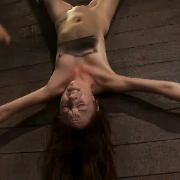 Emma Haize in 'Kink' Inverted and spread on the wall, the nubile unit cums over and over while we make it suck cock! (Thumbnail 16)