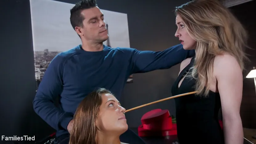 Kink 'Valentine's Day Ruined by Squirting Step-Sister's Anal Con Job' starring Febby Twigs (Photo 22)