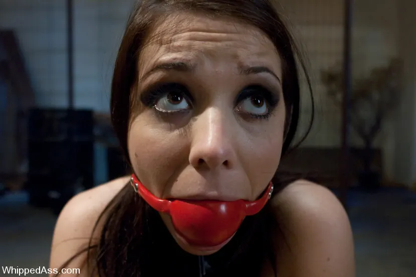 Kink 'ビッチコップ' 主演 Felony (写真 4)