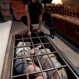 Felony in 'Kink' Brunettes Have More Fun: Sweet Revenge (Thumbnail 12)