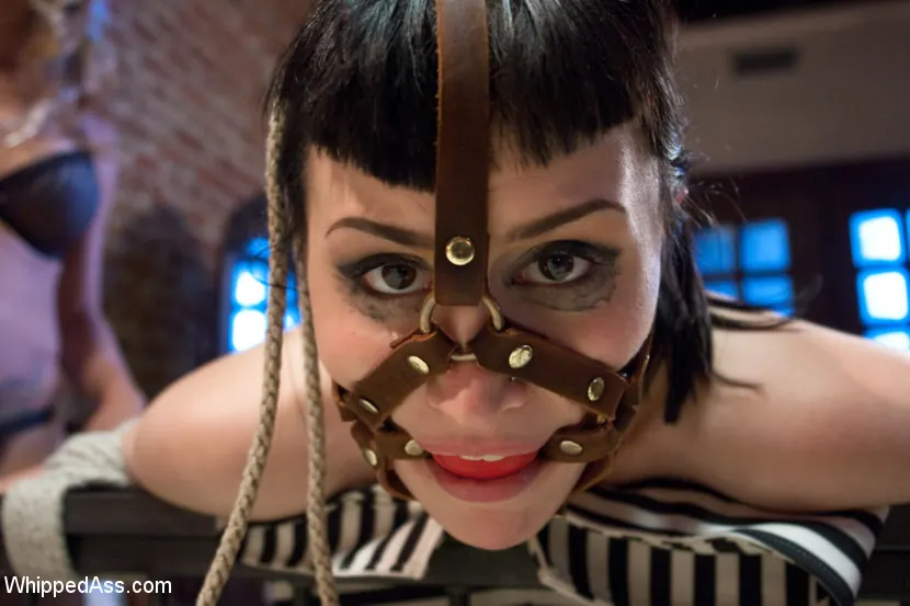 Kink '¡Cornudo a la manera lésbica!' protagonizando Felony (foto 2)