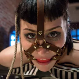 Felony en 'Kink' ¡Cornudo a la manera lésbica! (Miniatura 2)