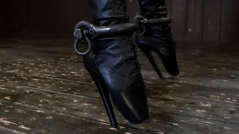 Felony に 'Bound in Cruel Latex, Metal and Leather Bondage!'