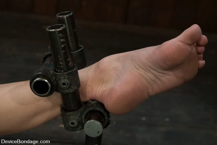 Felony in 'The lights are on, but she's not home...' from 'Kink' (Photo 14) Kink 'The lights are on, but she's not home...' starring Felony (Photo 14)