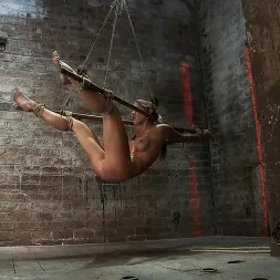Felony in 'Kink' Hot MILF suffers the most painful bondage Category 5 suspension made to squirt all over the place (Thumbnail 17)