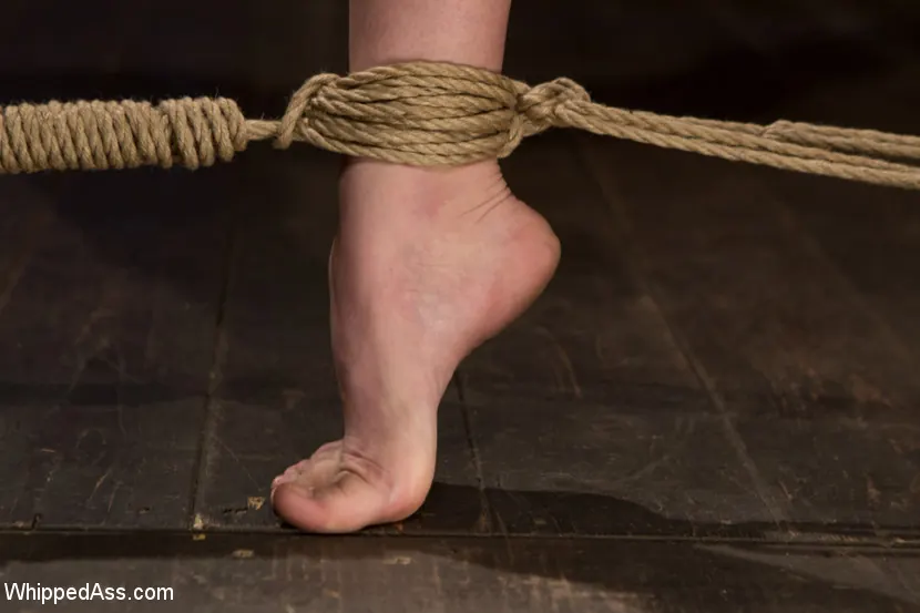 Kink 'Política lesbiana pervertida: la presentación de la becaria' protagonizando Felony (foto 8)